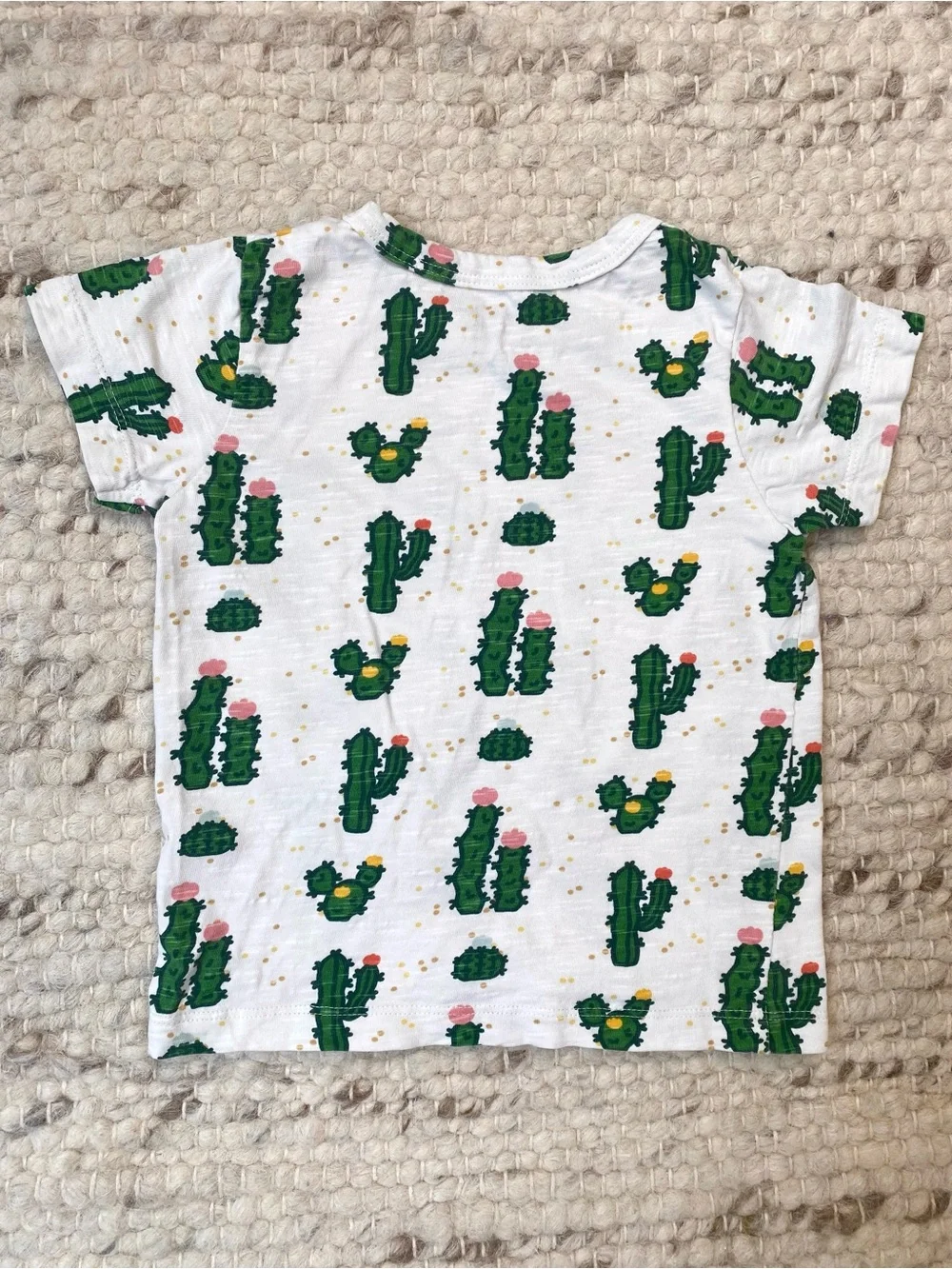 Monica + Andy Cactus Set + Primary Ombre Shorts Bundle 3T